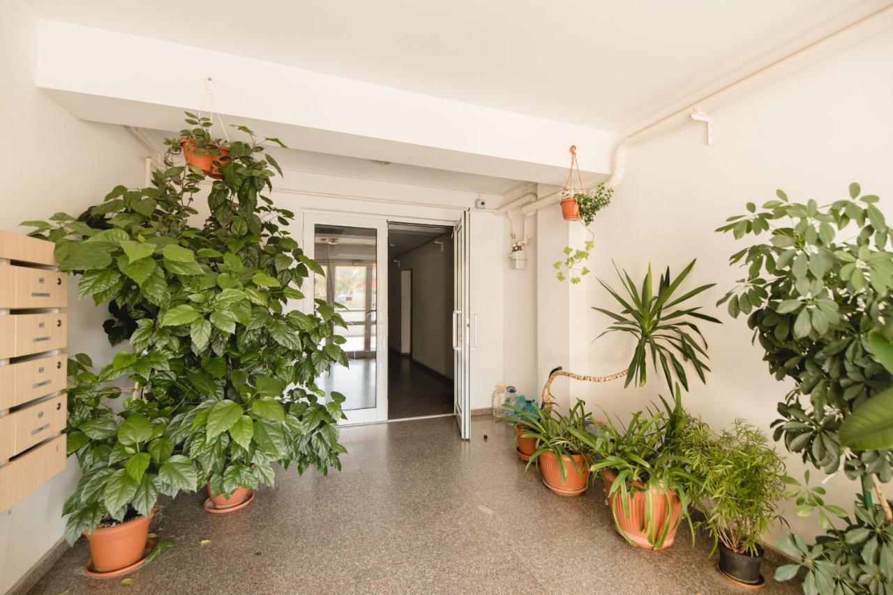 Oltului Apartment Braşov Buitenkant foto